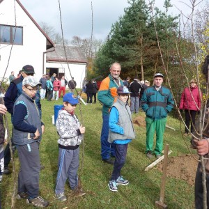 Říjen 2016 - sázení ovocných stromků pro školící sad