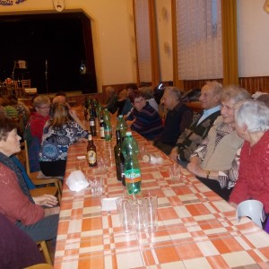 Setkání důchodců 9. února 2014