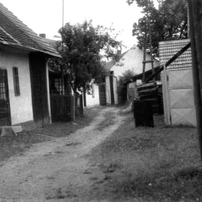 image-869